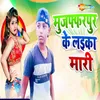 About Muzaffarpur Ke Laika Mari Song